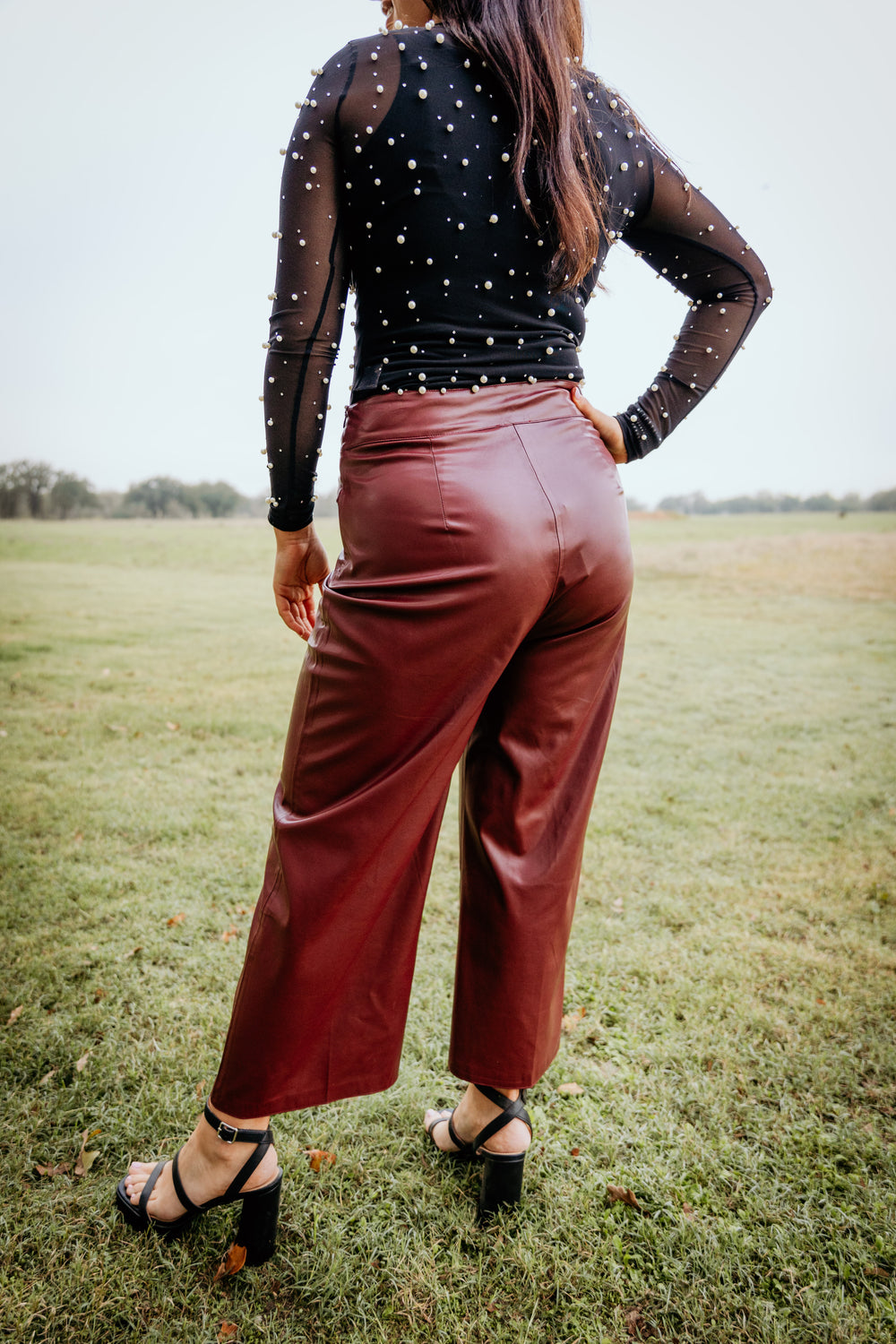 Faux Leather Wide Leg Pants Rusty Red