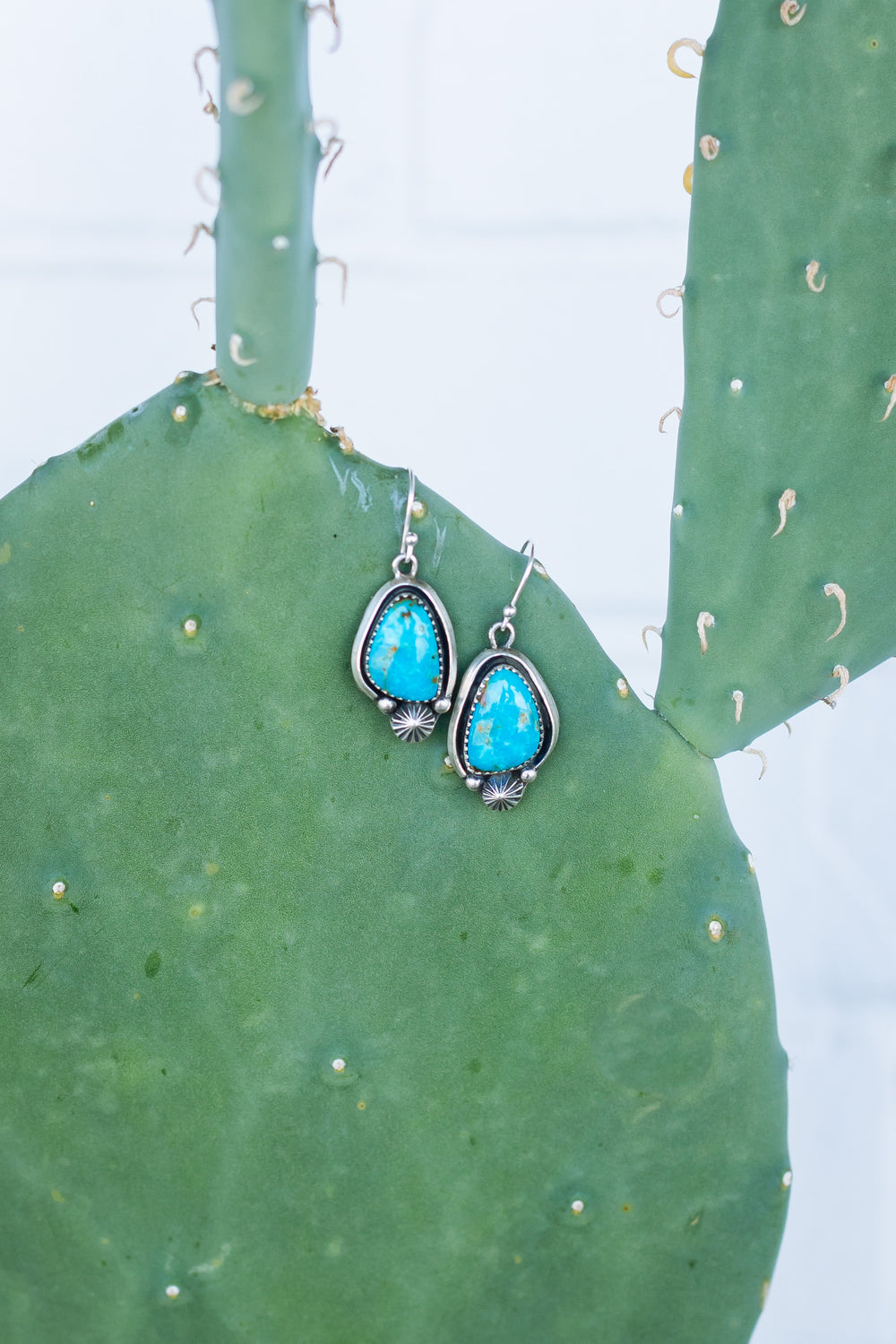 Turquoise Dangle Earrings