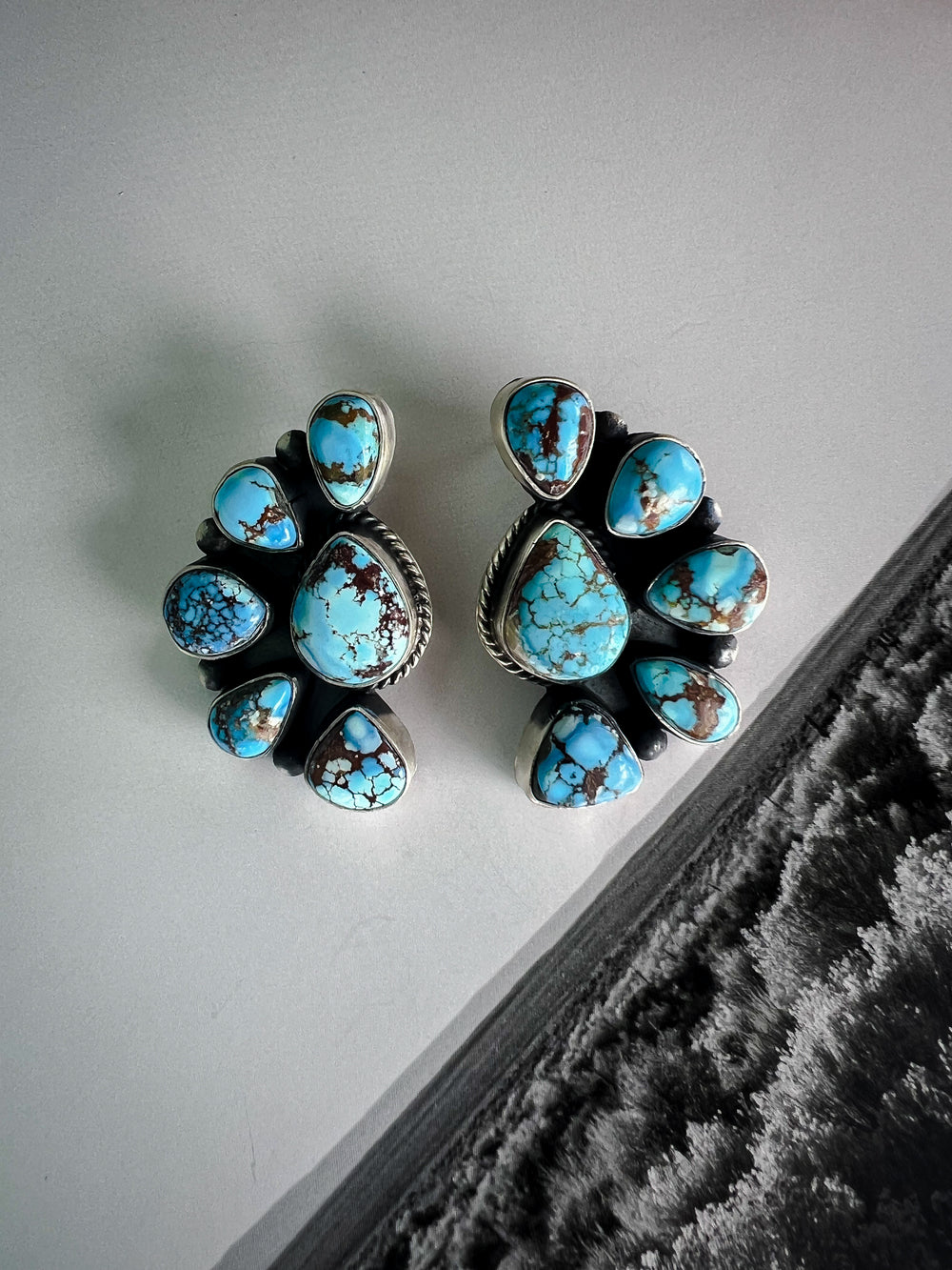 Golden Hills Crescent Earrings