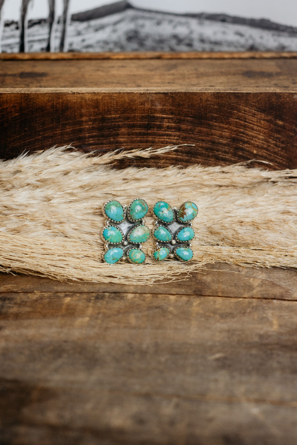 Big 6 Turquoise Earrings