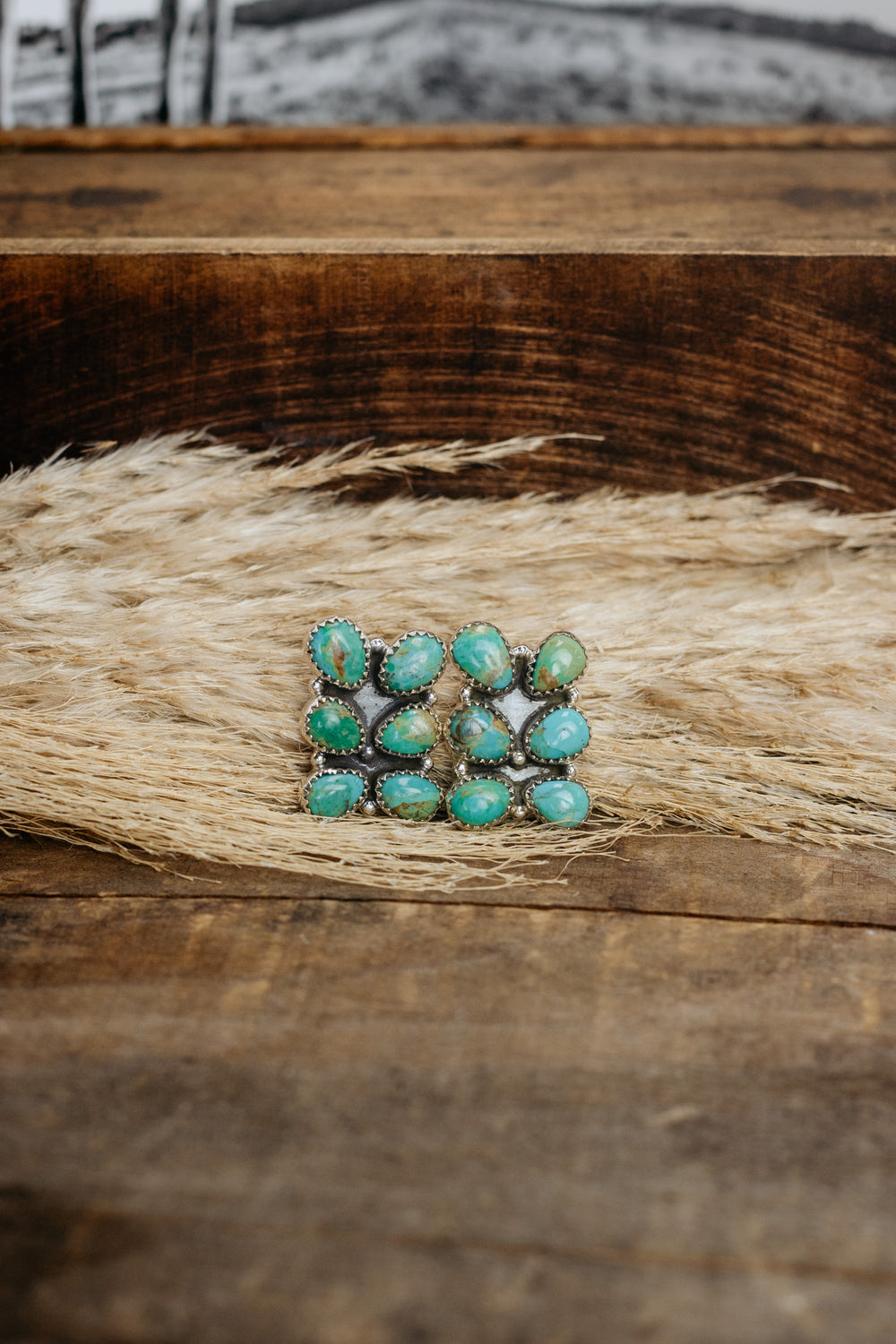 Big 6 Turquoise Earrings