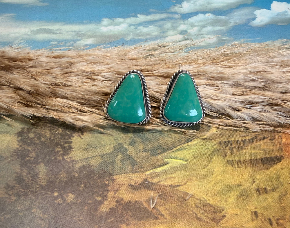 Carico Lake Triangle Earrings 1.0