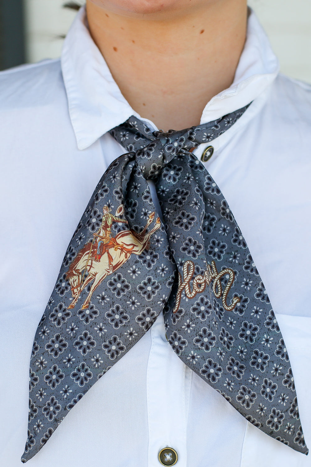 Charcoal Pony Express Scarf Tie