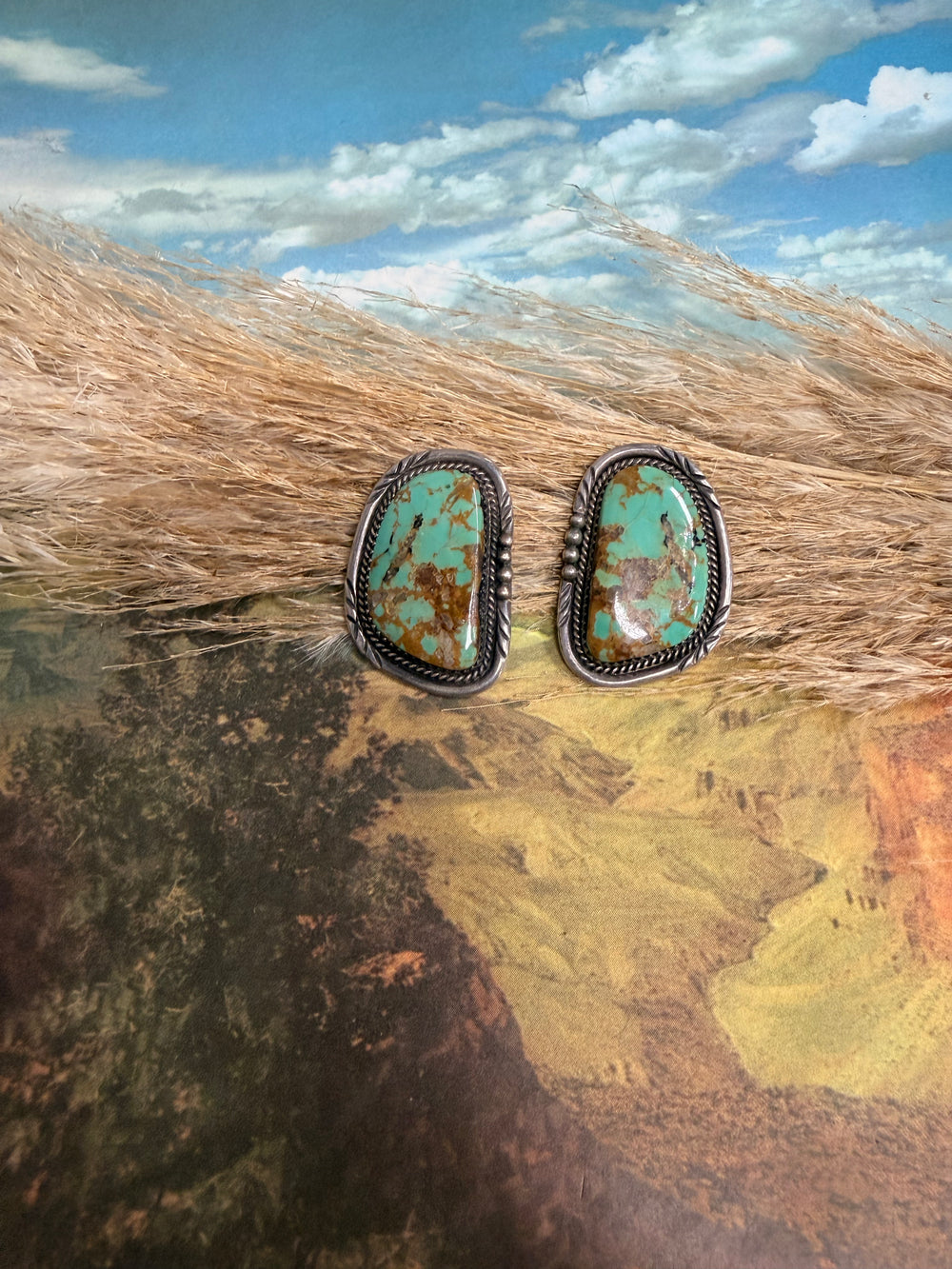 Copper Canyon Turquoise Studs