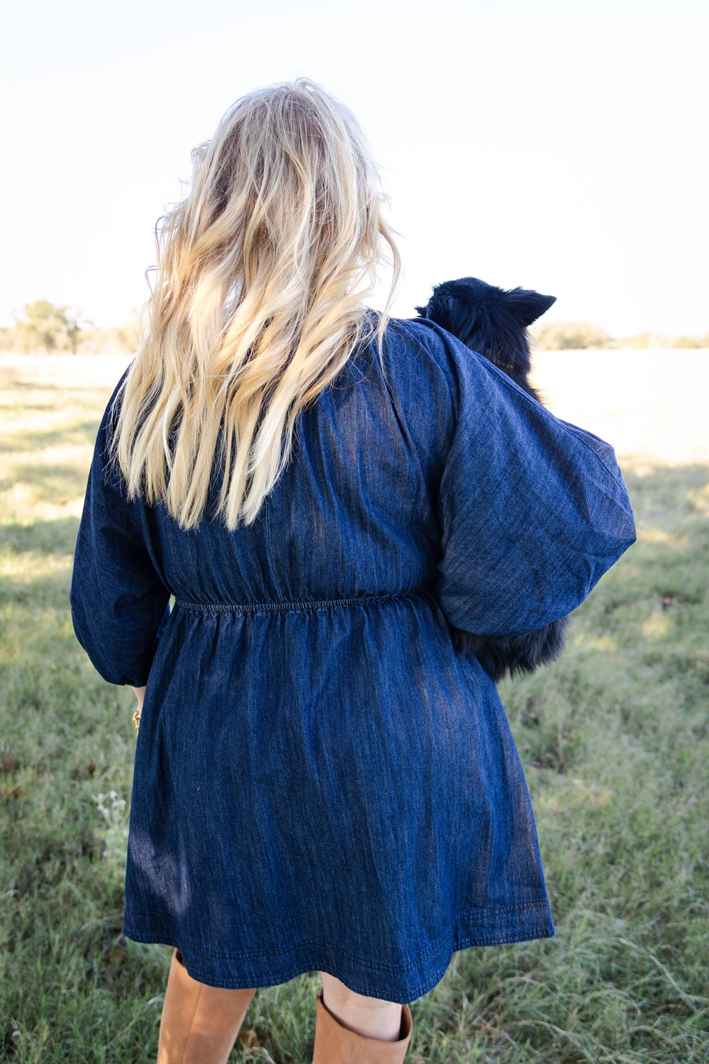 Denim V Neck Dress