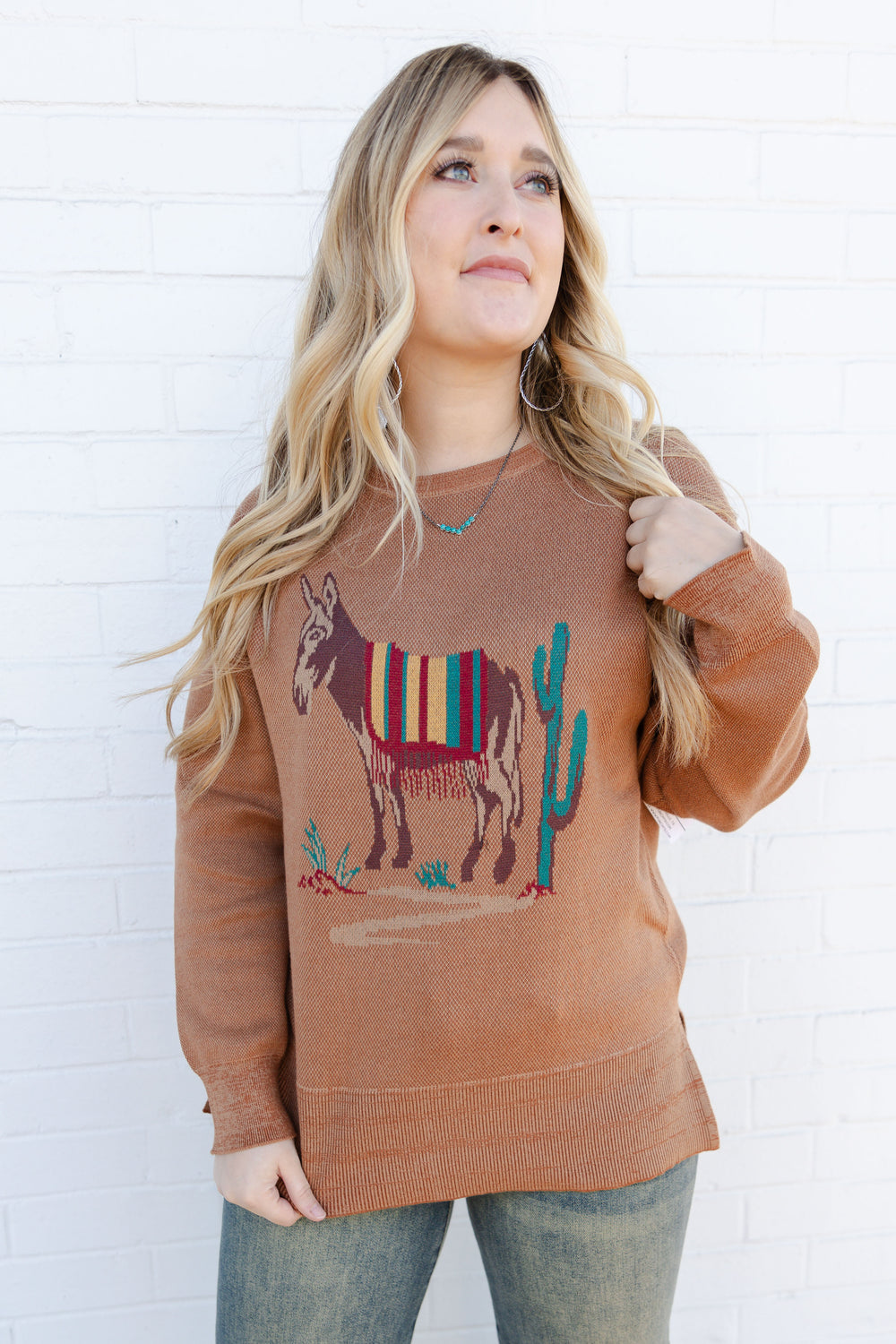 Donkey Graphic Sweater