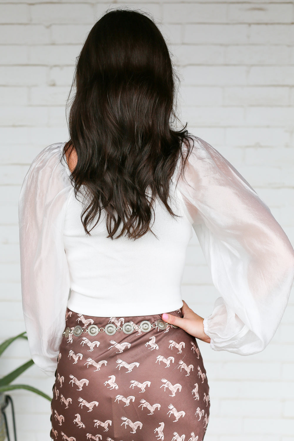 Dressy Nights Sheer Sleeve  Blouse Ivory