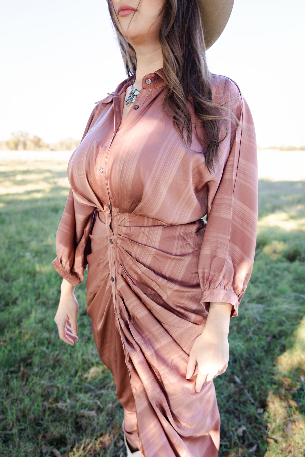 Elegance Tan Tie Dress