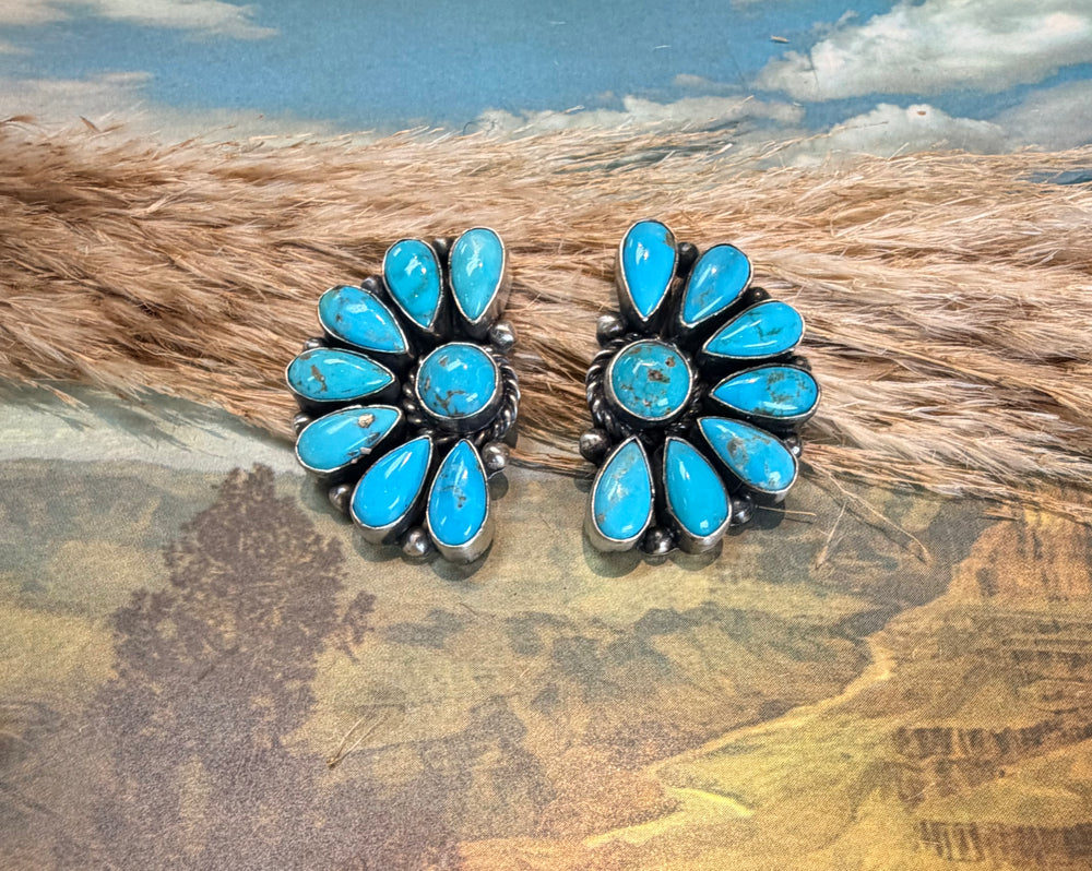 Effie Half Cluster Earrings 4.0