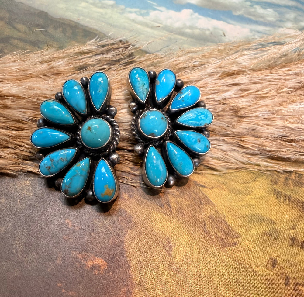 Effie Half Cluster Earrings 6.0