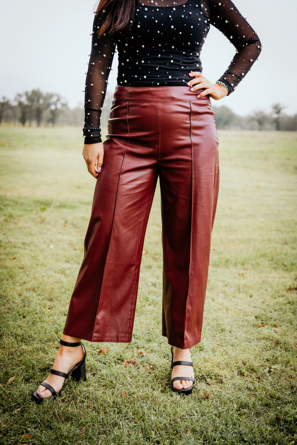 Faux Leather Wide Leg Pants Rusty Red