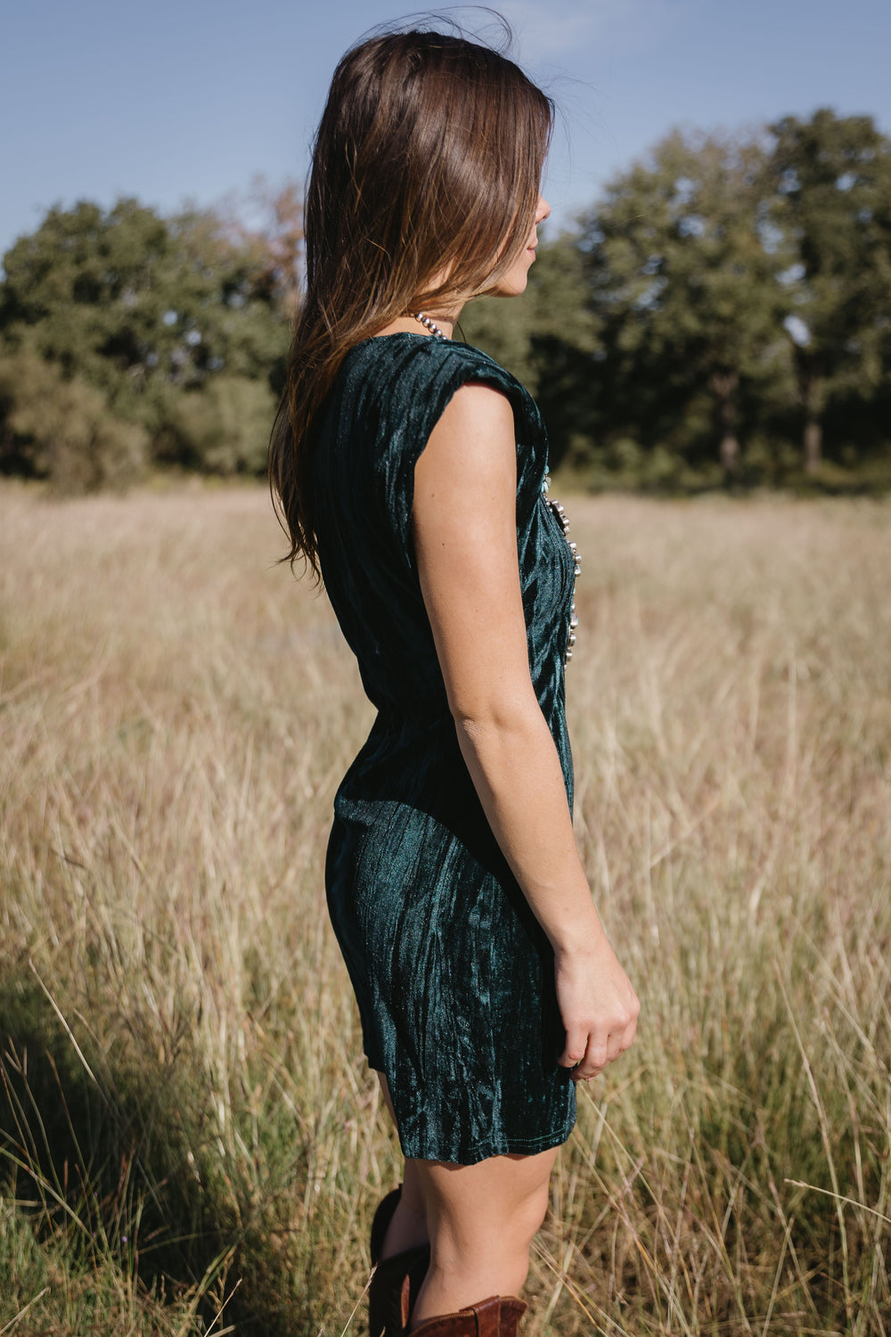 Forest Velvet Mini Dress