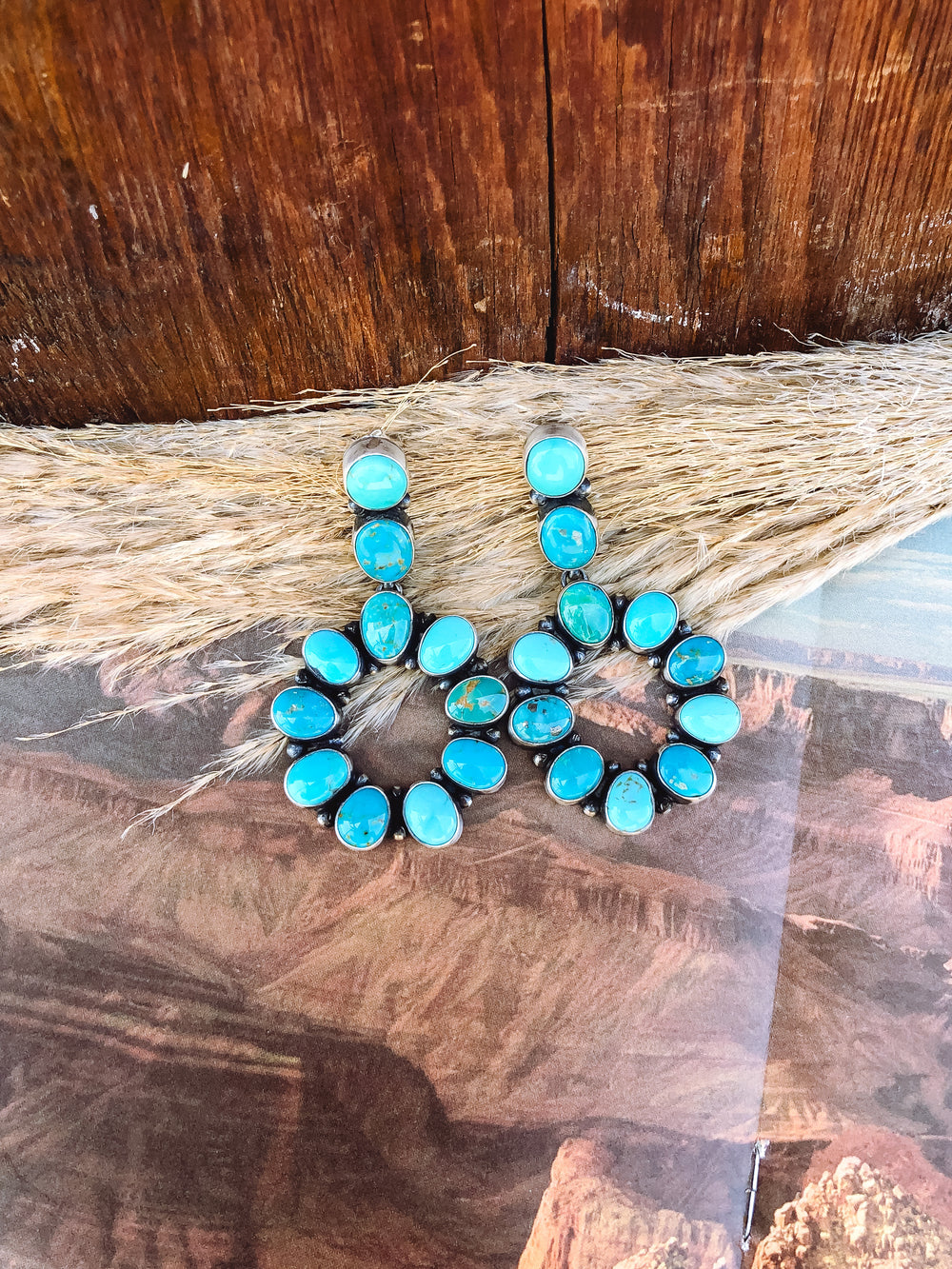 West Texas Circle Earring