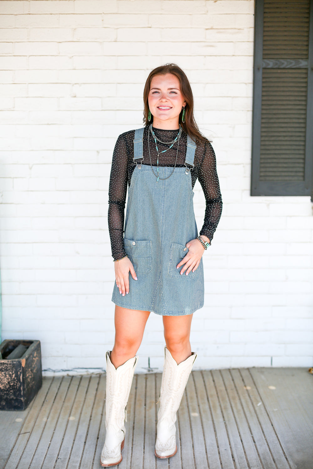Laney's Denim Pinstripe Mini Dress