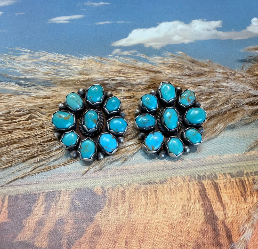 Lonnie Kingman Cluster Earrings 1.0