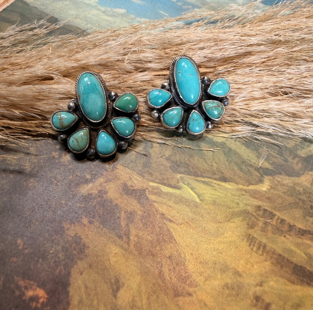 Louise Cantina Half Cluster Earrings