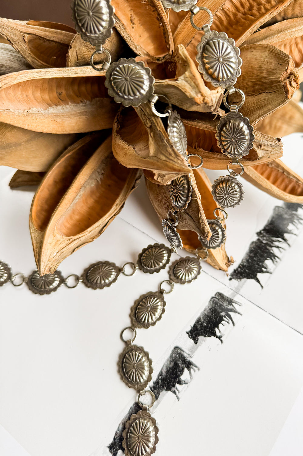 Mini Raton Concho Belt