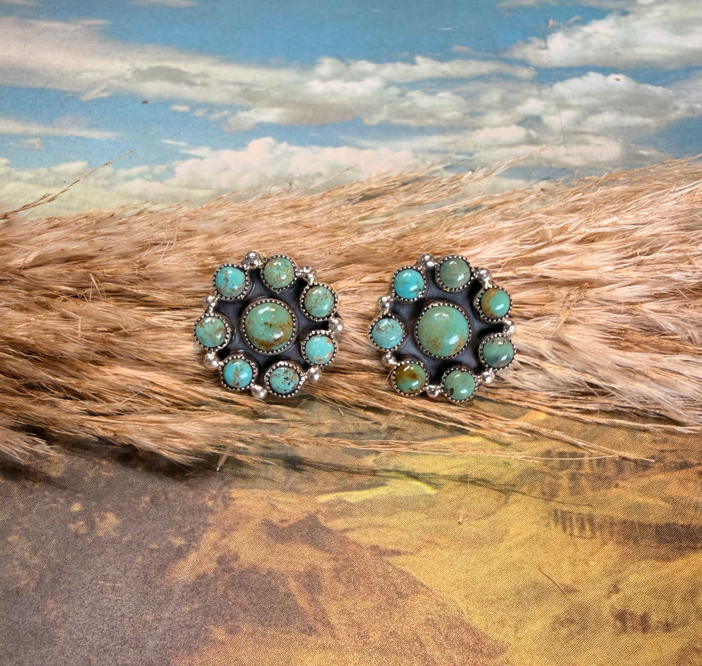 Mixed Turquoise Dottie Studs