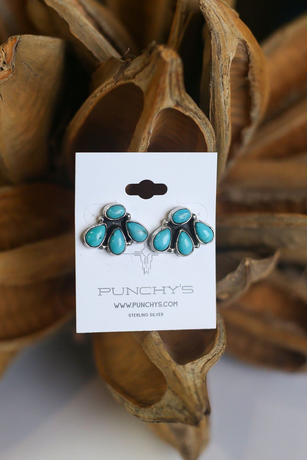 Mixed Turquoise Bear Claw Earrings
