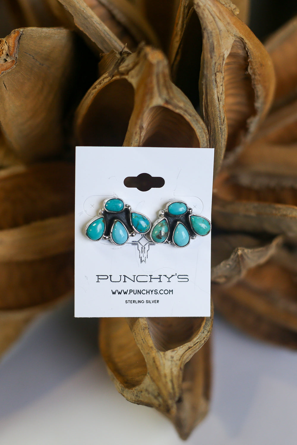 Mixed Turquoise Bear Claw Earrings