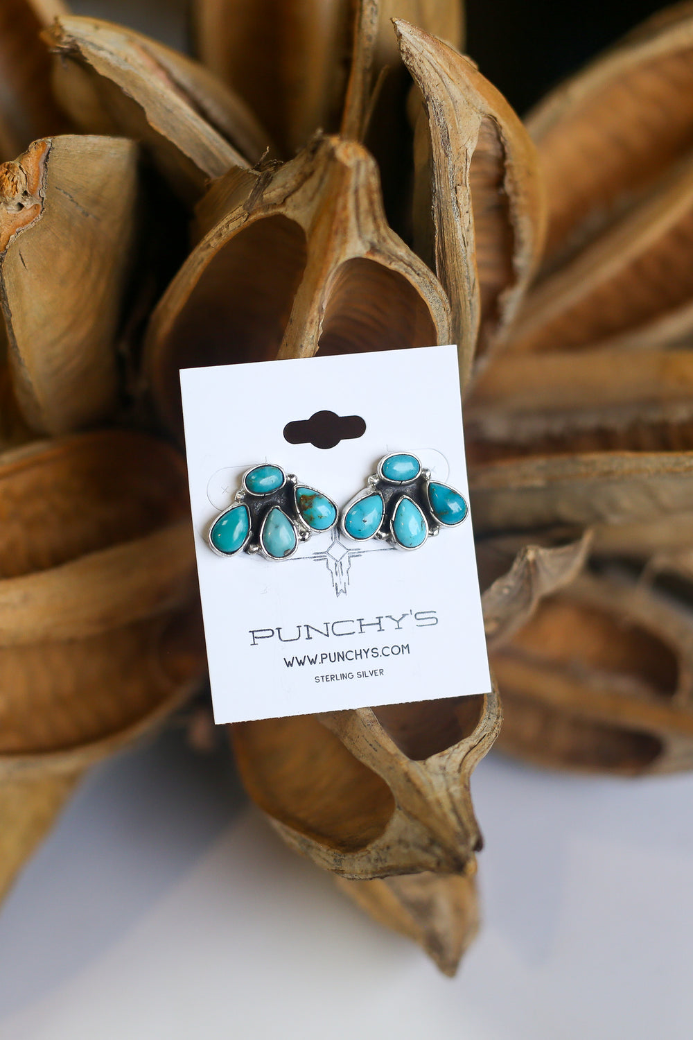Mixed Turquoise Bear Claw Earrings