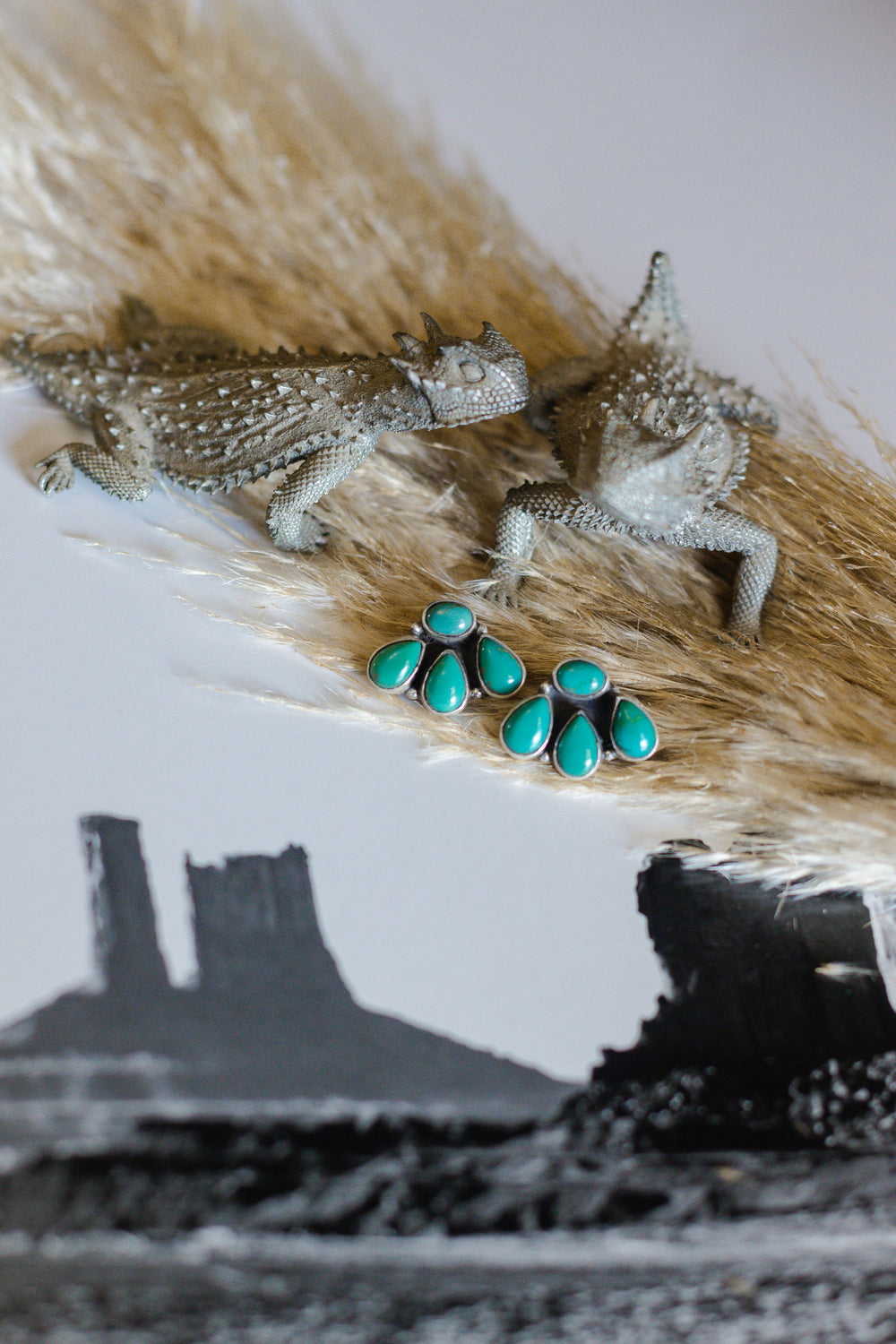 Mixed Turquoise Bear Claw Earrings