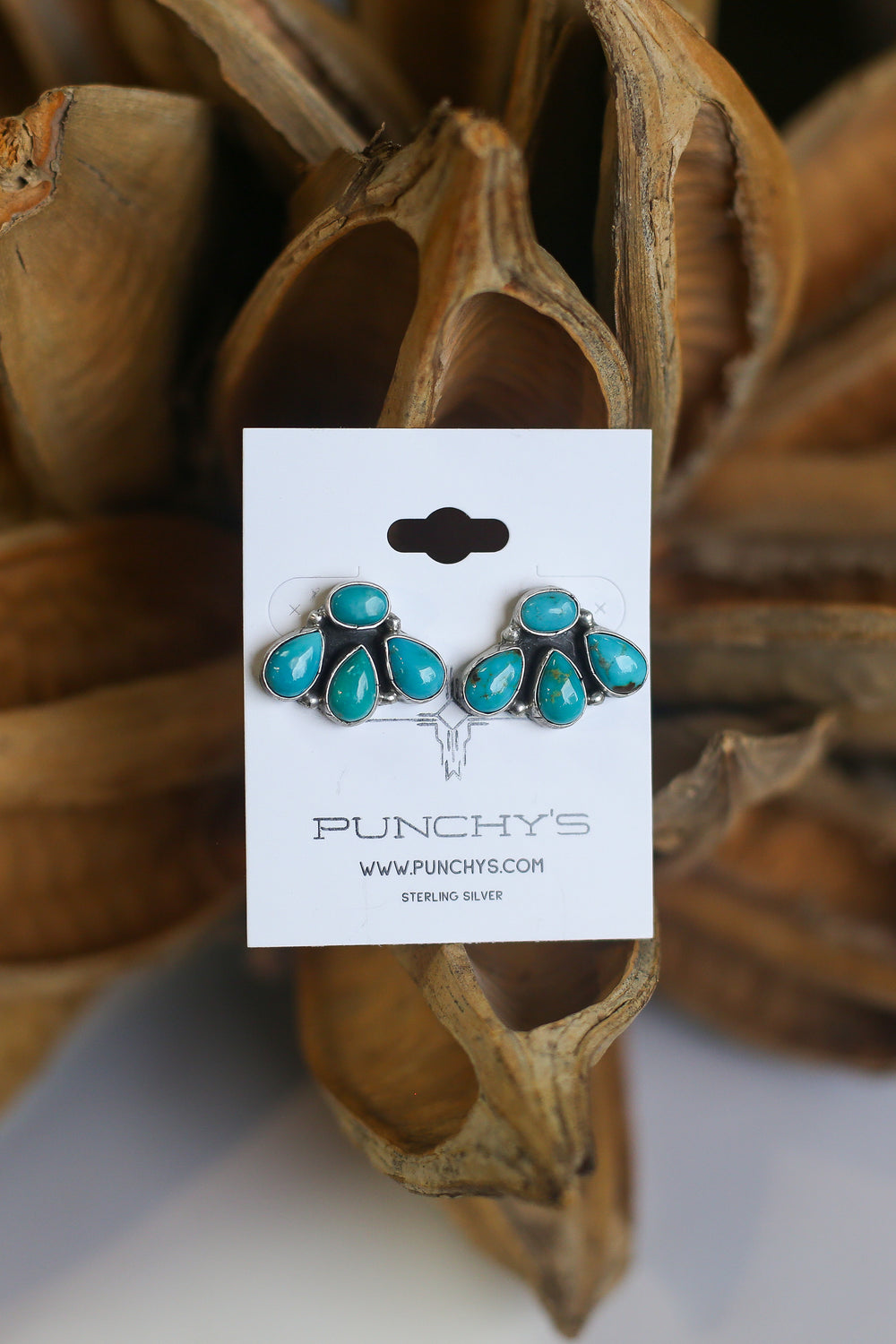 Mixed Turquoise Bear Claw Earrings