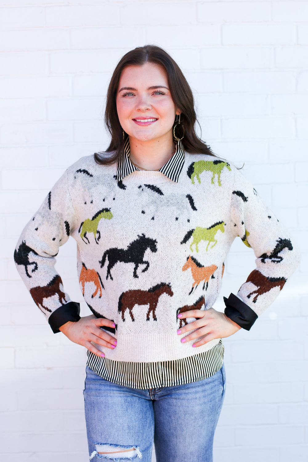 Multi Color Wild Horses Sweater