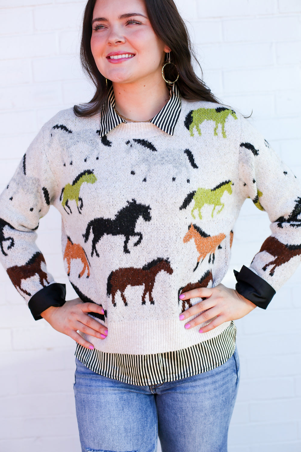 Multi Color Wild Horses Sweater