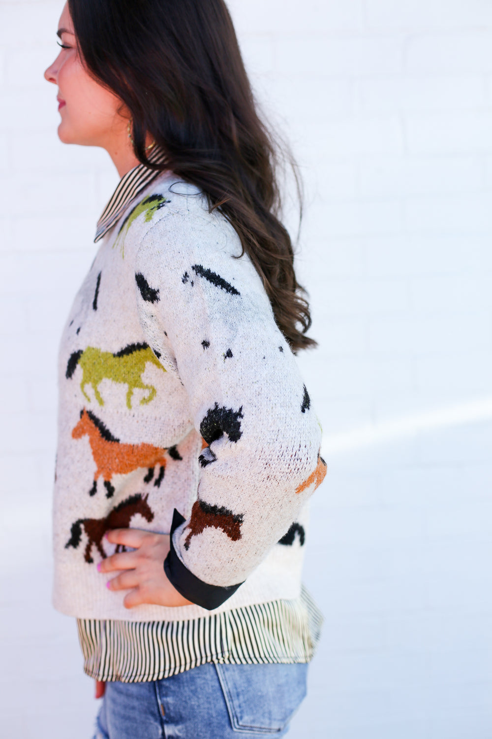 Multi Color Wild Horses Sweater