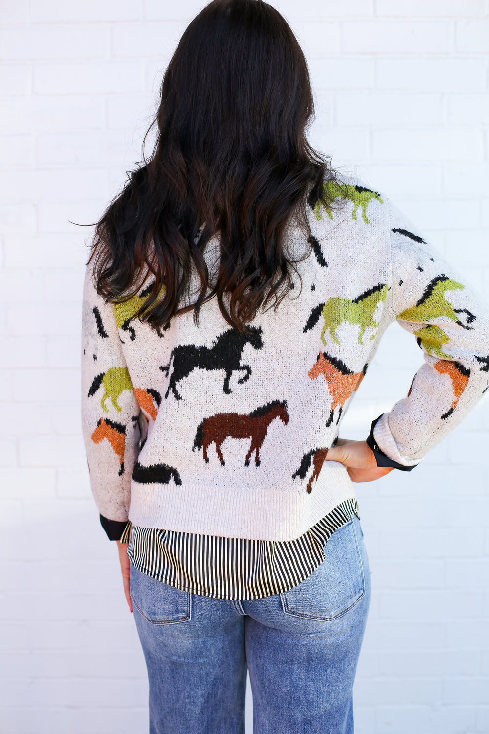 Multi Color Wild Horses Sweater