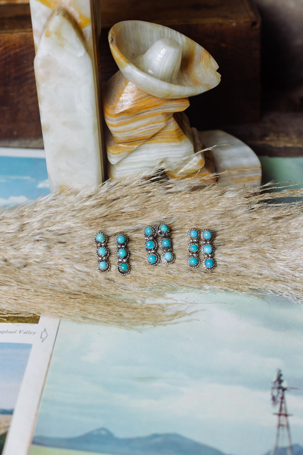 Single File Turquoise Earrings