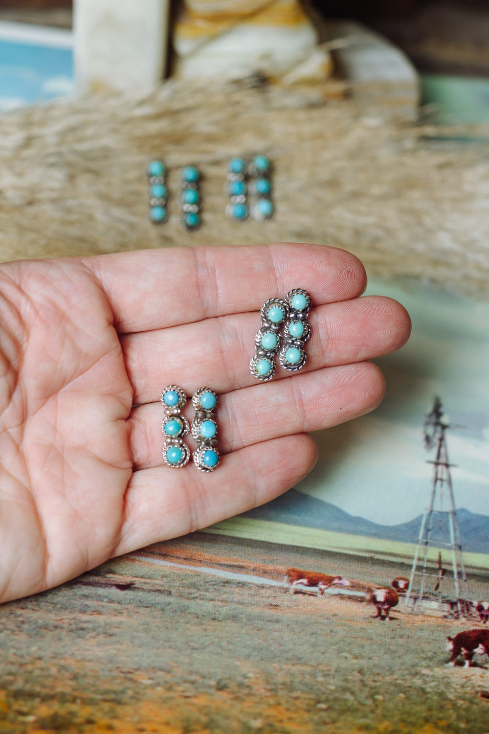 Single File Turquoise Earrings