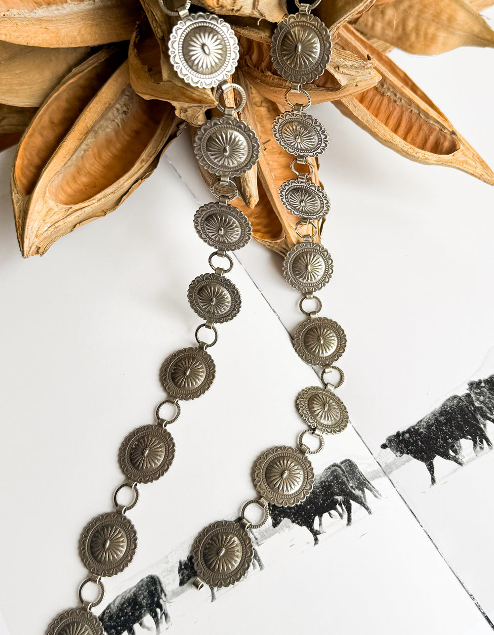 Small Corrales Concho Belt