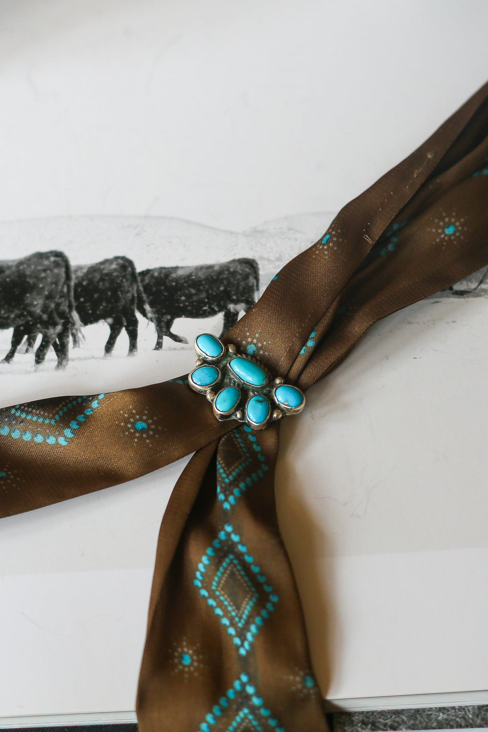 The Half Kingman Cluster Slides