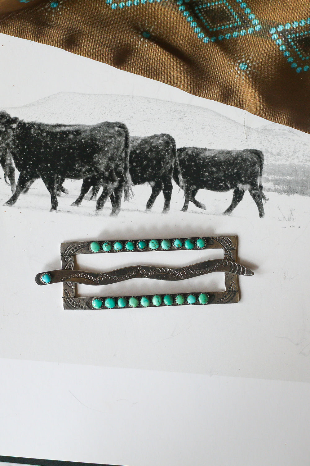 The Snake Turquoise Slide