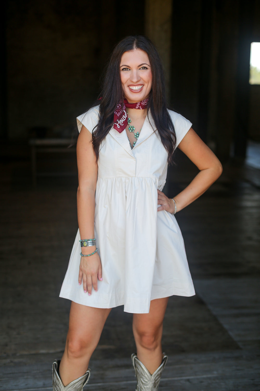 The Willa Collared Mini Dress