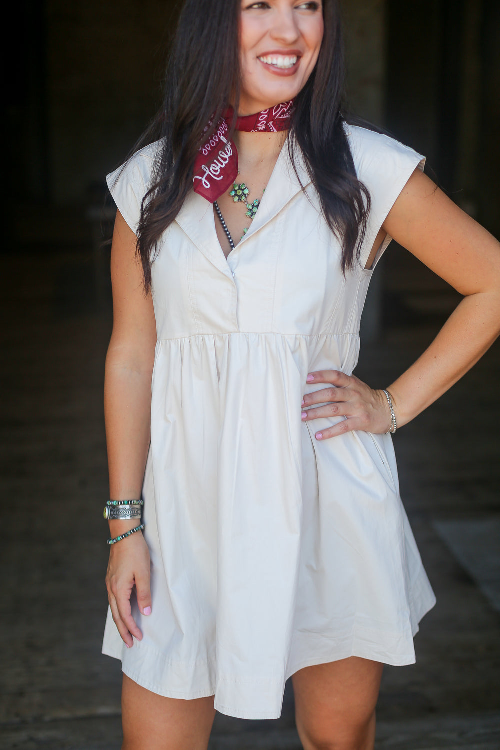 The Willa Collared Mini Dress