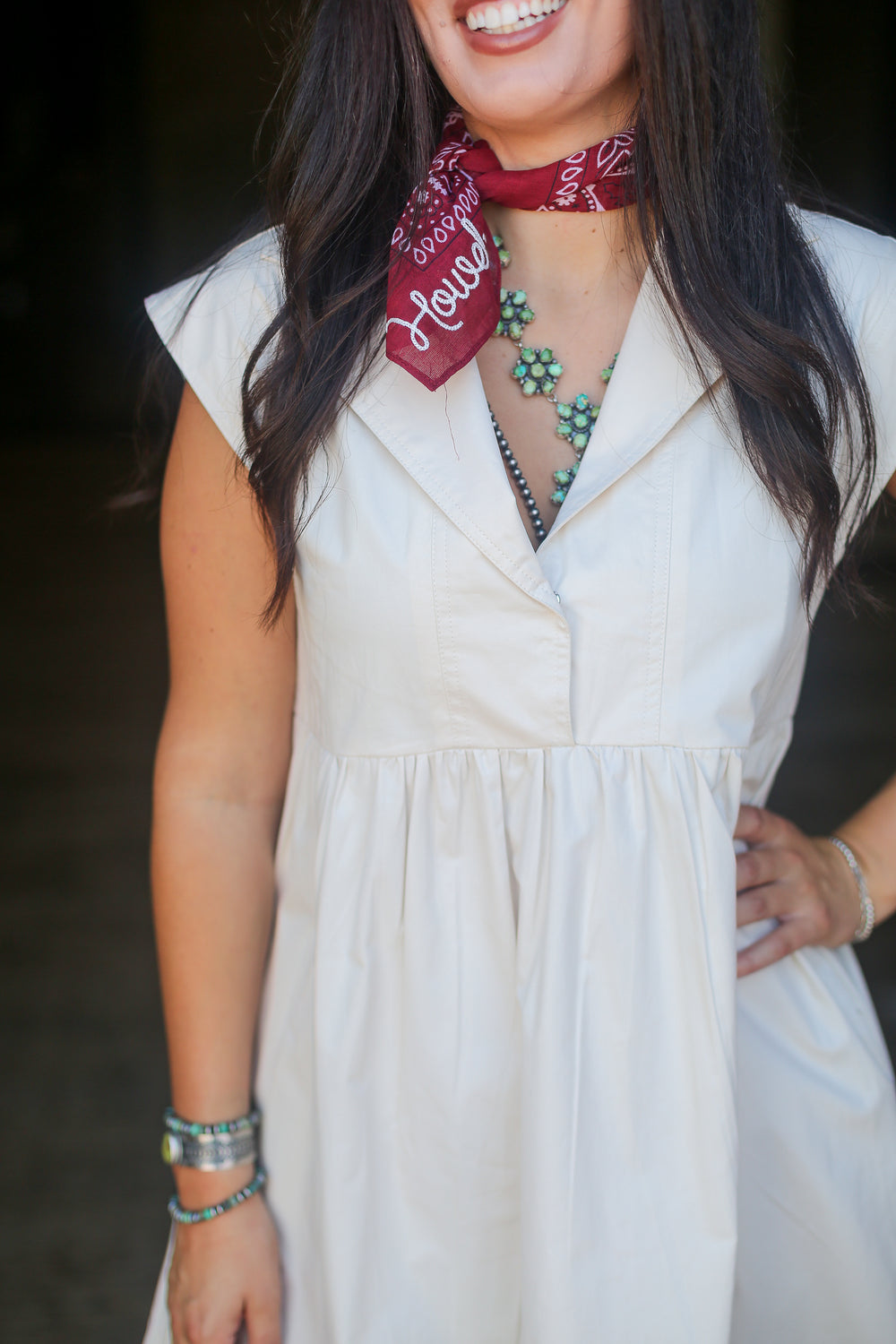 The Willa Collared Mini Dress