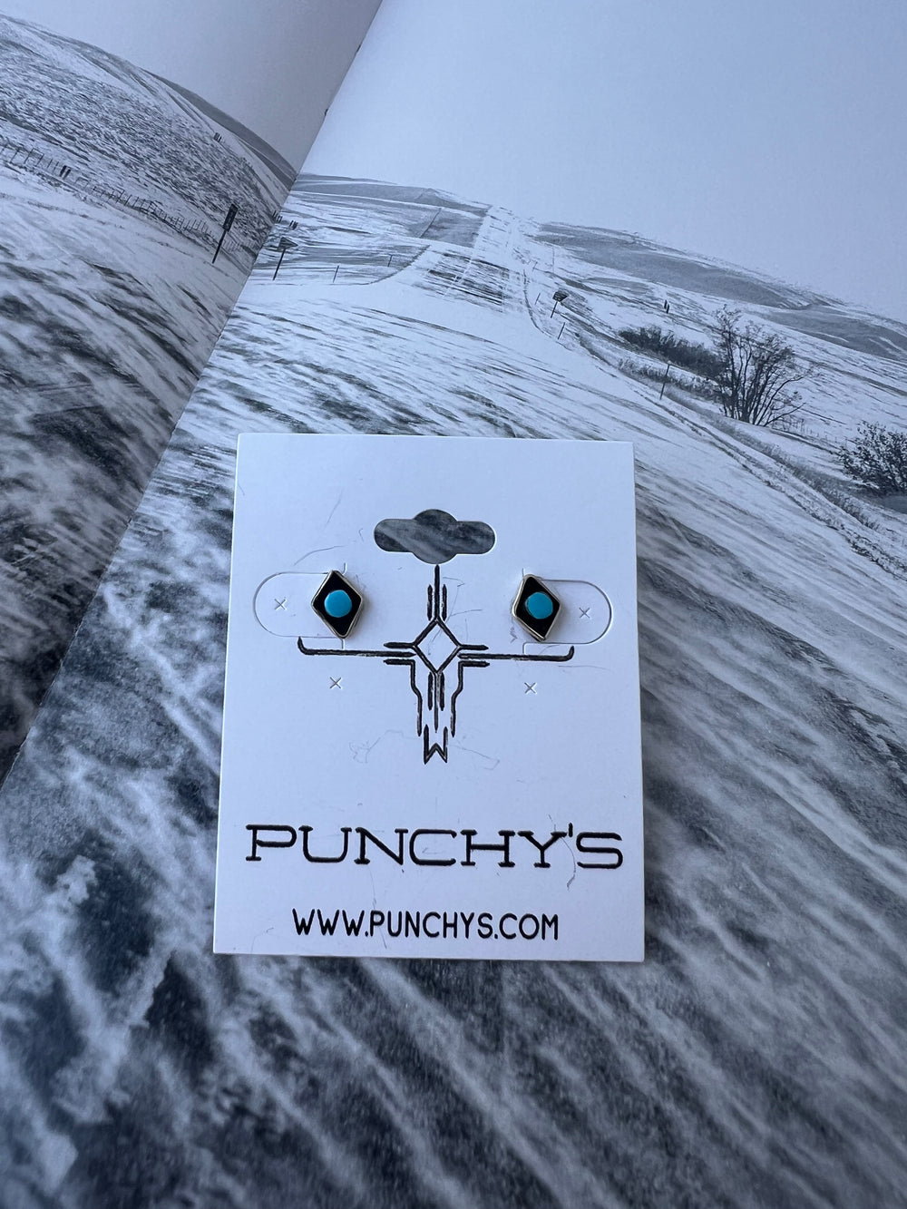 Turquoise Diamond Shadow Box Stud