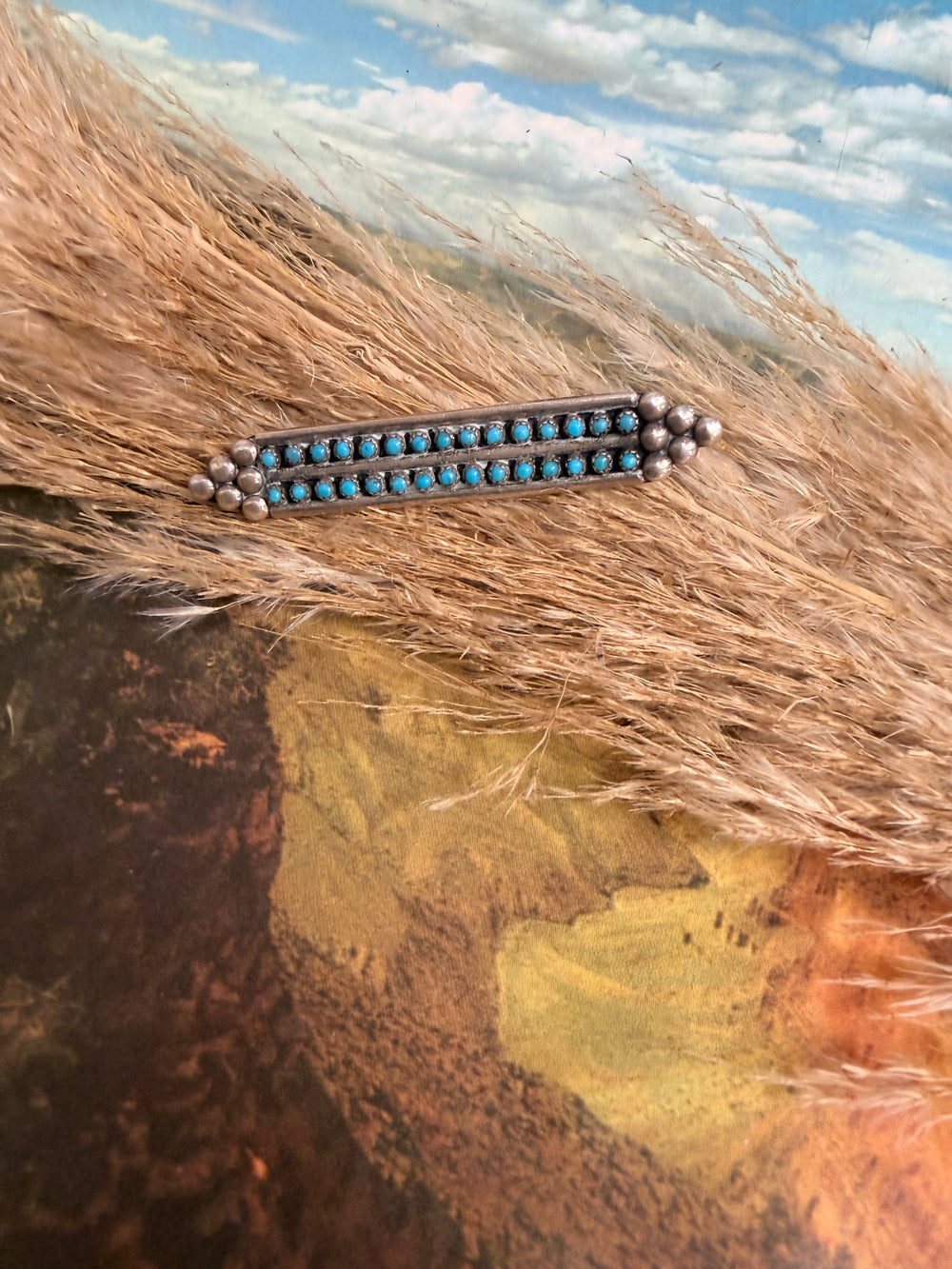 Vintage Tie Clip - Hat Pin